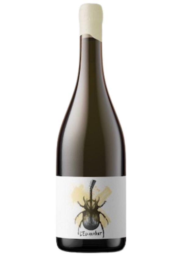 Escarabat Blanc 2025-garnacha