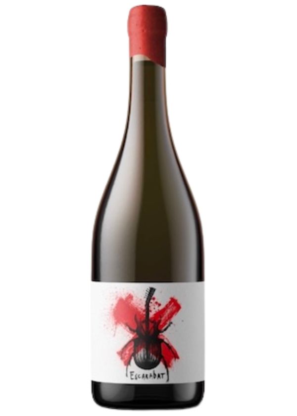 Escarabat Negre 2025-garnacha