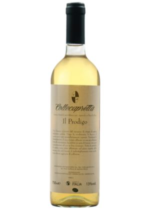Il Prodigo 2025-malvasia, moscato, montonico