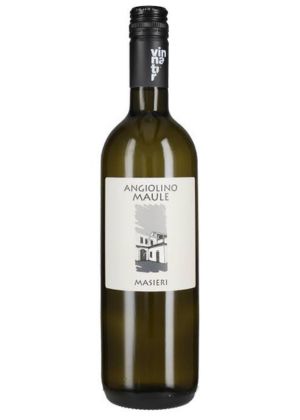 Masieri 2025-garganega