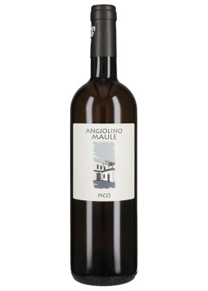 Pico 2023-garganega