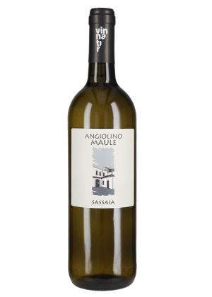 Sassaia 2024-garganega
