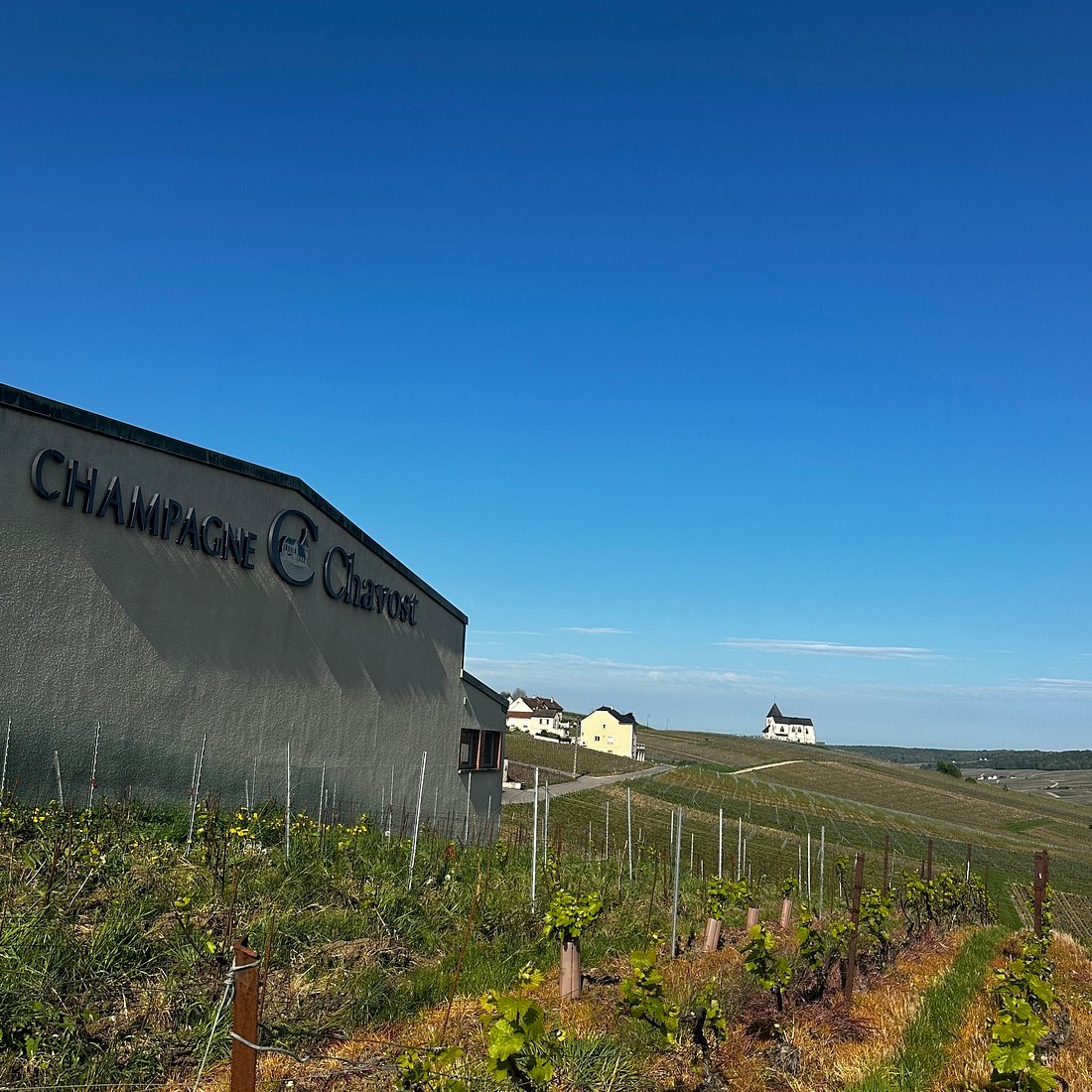 Champagne Chavost viña