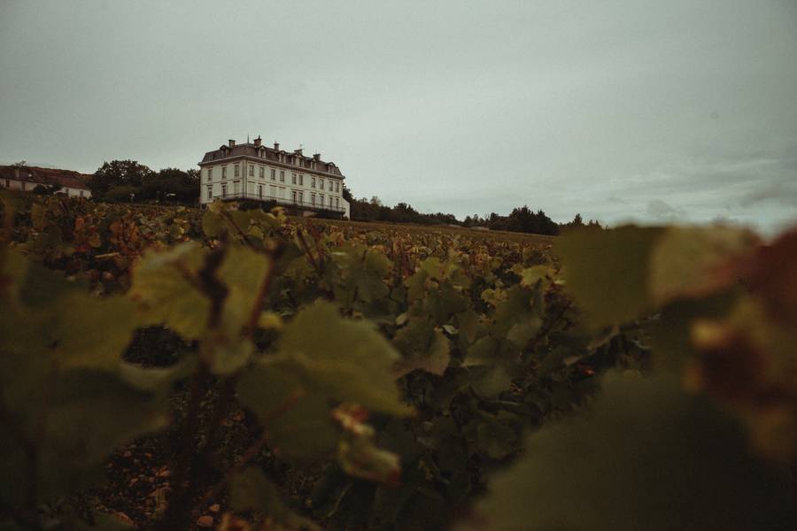Domaine Camille Thiriet viña