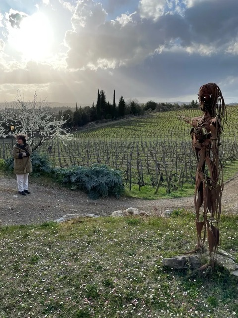 Podere Le Boncie viña